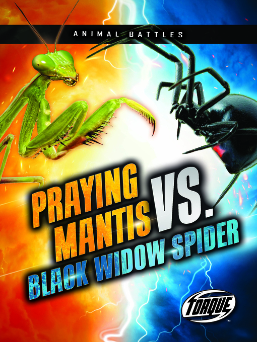 Praying Mantis vs. Black Widow Spider